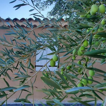 Reve En Luberon Villa Lauris ภายนอก รูปภาพ