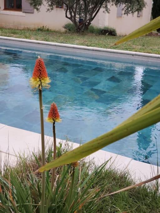 Reve En Luberon Villa Lauris ภายนอก รูปภาพ