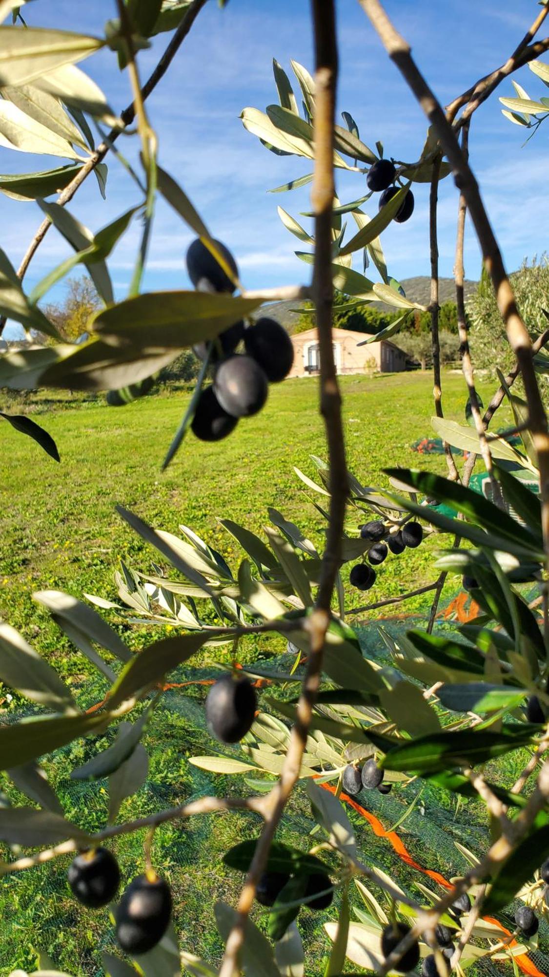 Reve En Luberon Villa Lauris ภายนอก รูปภาพ