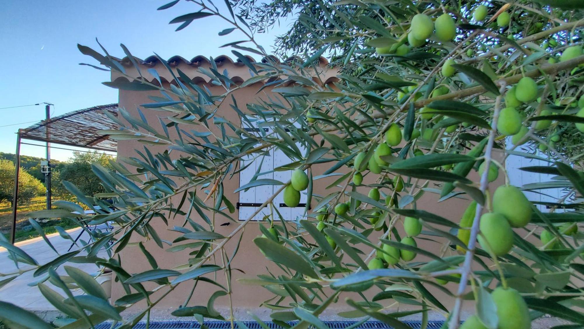 Reve En Luberon Villa Lauris ภายนอก รูปภาพ